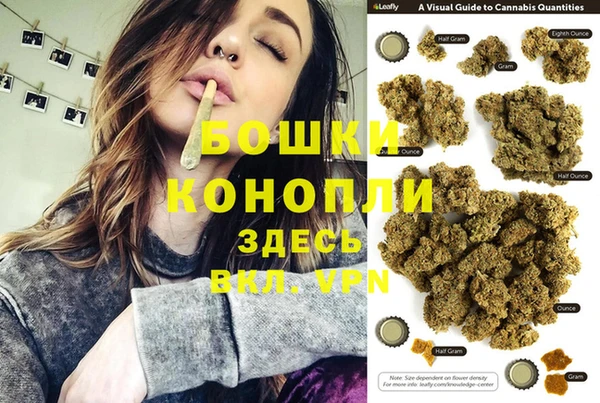 соль ск Осинники